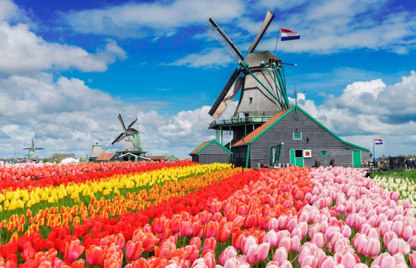 Beseda o Holandsku