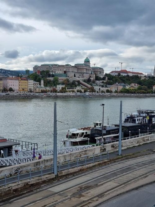 Pohled na Budínský hrad od Dunaje